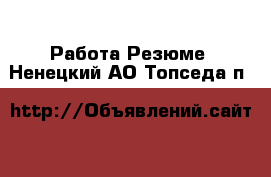 Работа Резюме. Ненецкий АО,Топседа п.